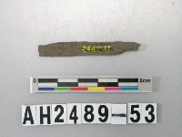 藏品(磨製石針)的圖片